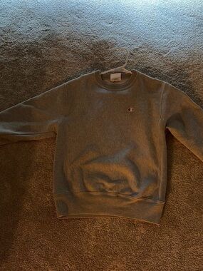 Champion Crewneck Sweatshirt in Gray